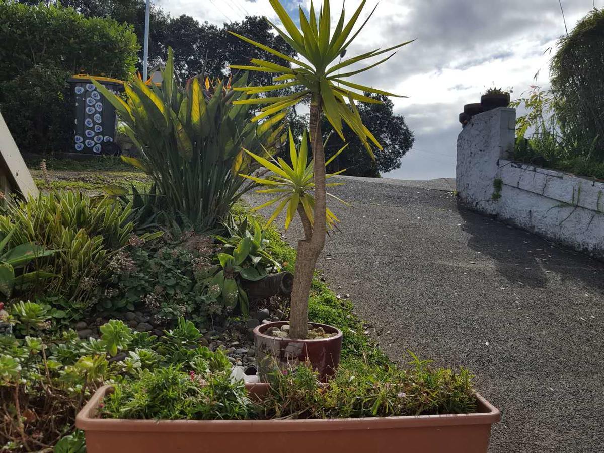 Harbour View Guesthouse Auckland Eksteriør billede